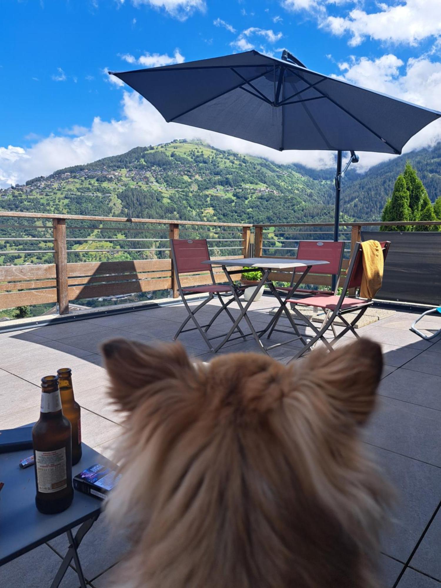 Alt'O Martinets Konuk evi Nendaz Dış mekan fotoğraf