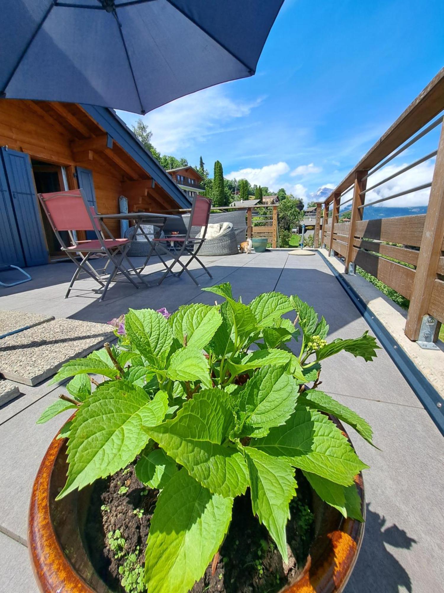 Alt'O Martinets Konuk evi Nendaz Dış mekan fotoğraf