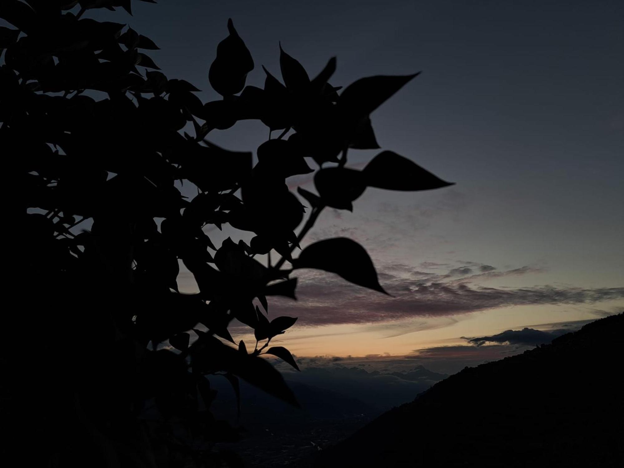 Alt'O Martinets Konuk evi Nendaz Dış mekan fotoğraf